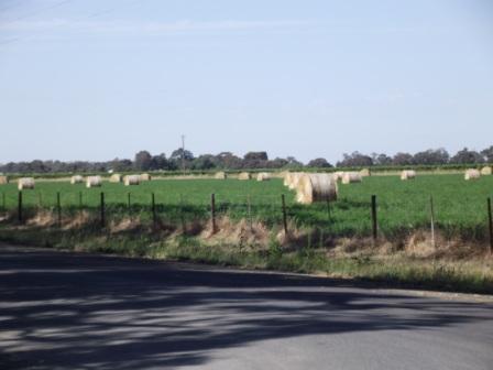 Oz-1 066Hay Bales2.JPG